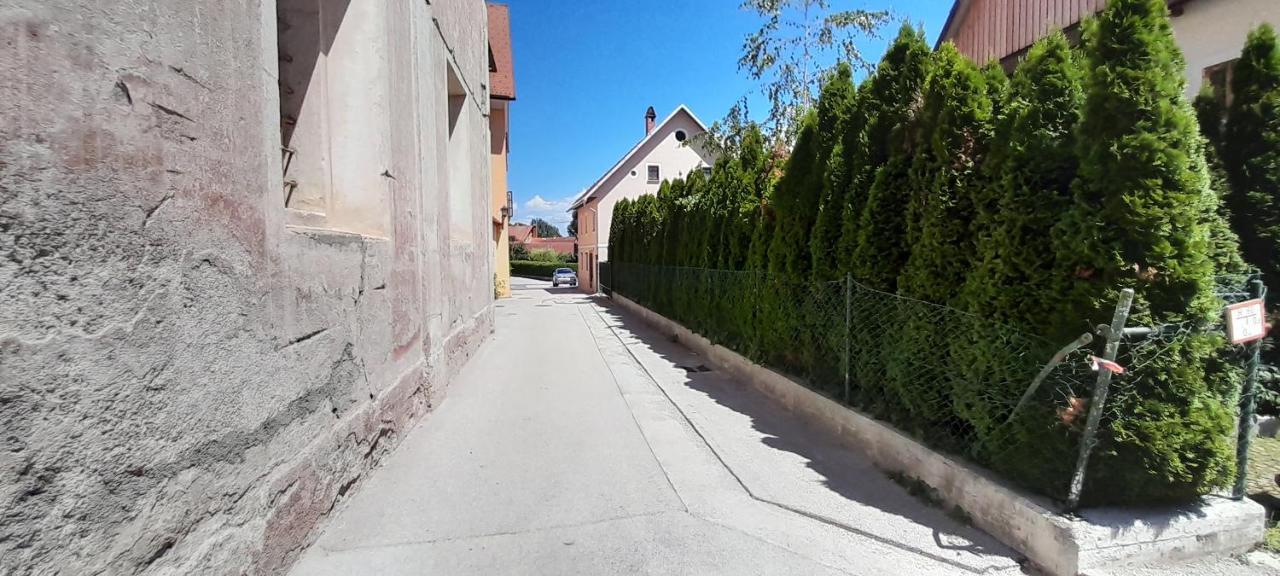 Apartment Slovan Škofja Loka Exteriér fotografie